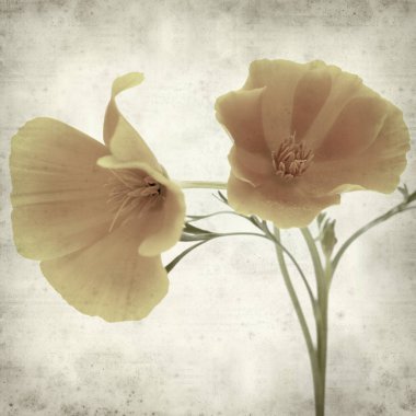 desenli eski kağıt arkaplan  