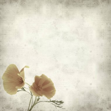 desenli eski kağıt arkaplan  