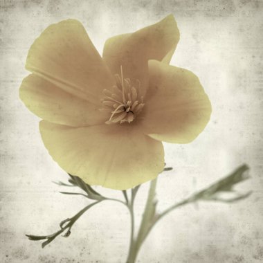 desenli eski kağıt arkaplan  