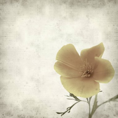 desenli eski kağıt arkaplan  