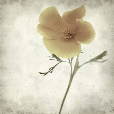 desenli eski kağıt arkaplan  