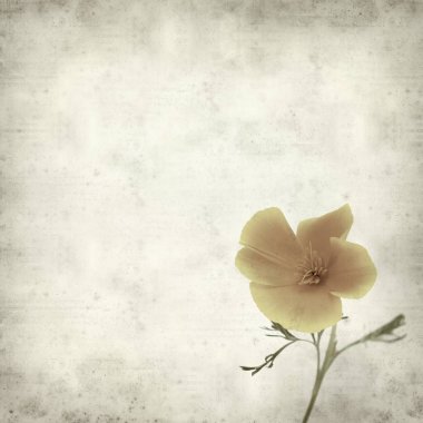 desenli eski kağıt arkaplan  