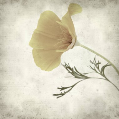 desenli eski kağıt arkaplan  