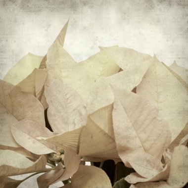 desenli eski kağıt arkaplan  