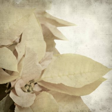 desenli eski kağıt arkaplan  