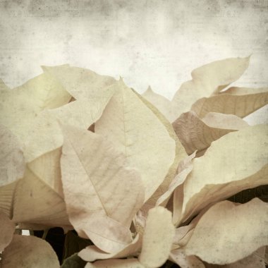 desenli eski kağıt arkaplan  