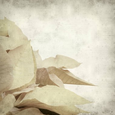 desenli eski kağıt arkaplan  