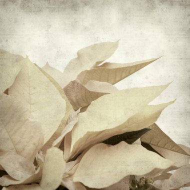 desenli eski kağıt arkaplan  