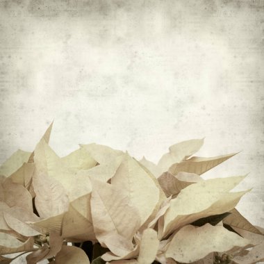 desenli eski kağıt arkaplan  