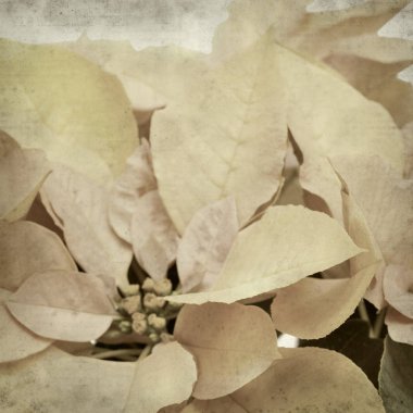 desenli eski kağıt arkaplan  