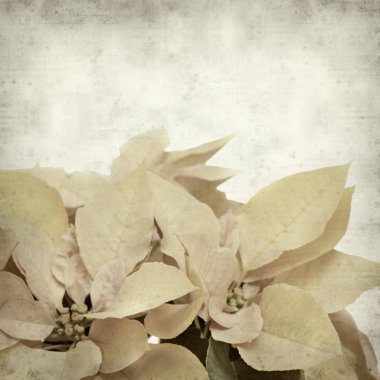 desenli eski kağıt arkaplan  