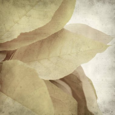 desenli eski kağıt arkaplan  