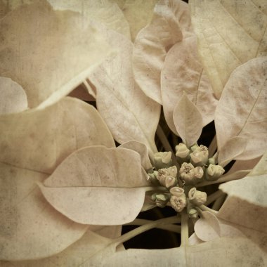 desenli eski kağıt arkaplan  