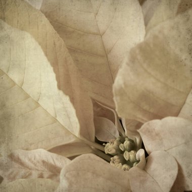 desenli eski kağıt arkaplan  