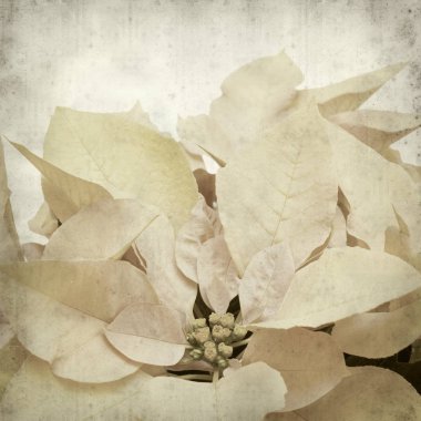 desenli eski kağıt arkaplan  