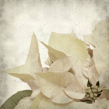 desenli eski kağıt arkaplan  