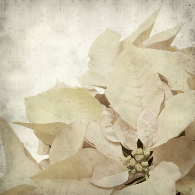 desenli eski kağıt arkaplan  