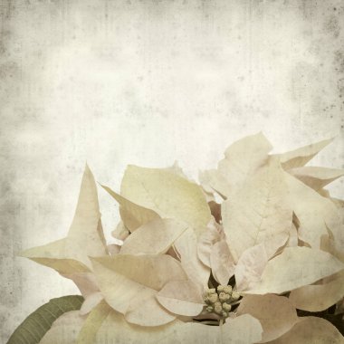 desenli eski kağıt arkaplan  