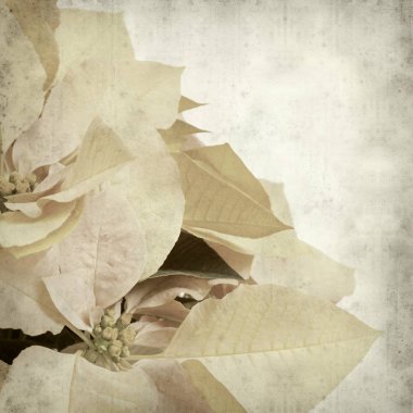 desenli eski kağıt arkaplan  