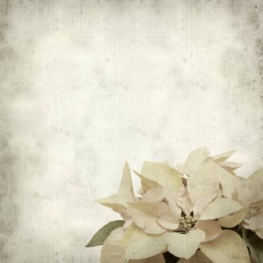 desenli eski kağıt arkaplan  