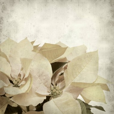 desenli eski kağıt arkaplan  