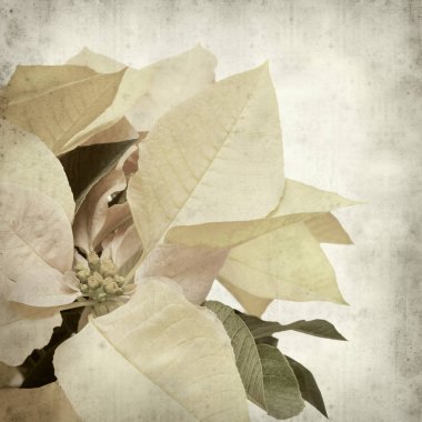 desenli eski kağıt arkaplan  