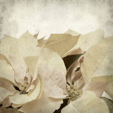 desenli eski kağıt arkaplan  