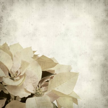 desenli eski kağıt arkaplan  