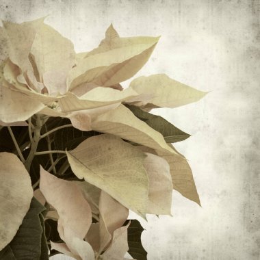 desenli eski kağıt arkaplan  