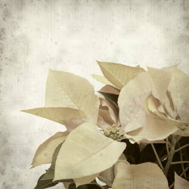 desenli eski kağıt arkaplan  