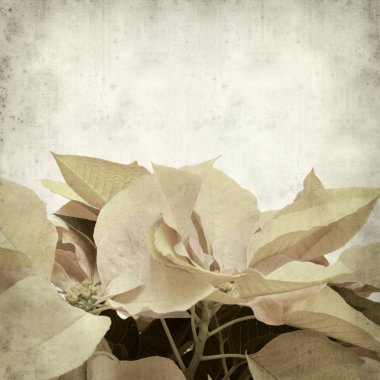 desenli eski kağıt arkaplan  