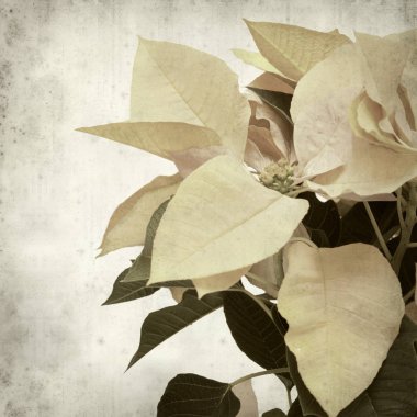 desenli eski kağıt arkaplan  