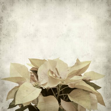 desenli eski kağıt arkaplan  