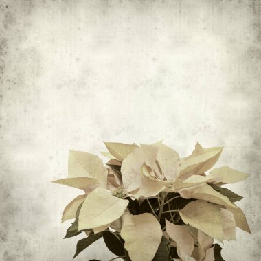 desenli eski kağıt arkaplan  