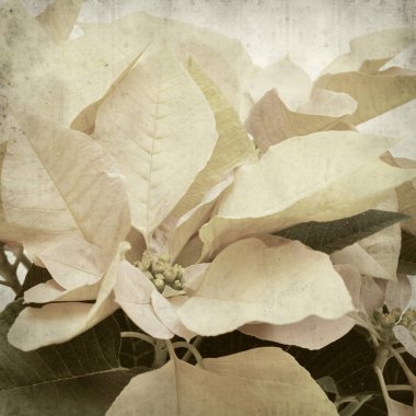 desenli eski kağıt arkaplan  