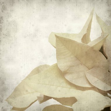 desenli eski kağıt arkaplan  