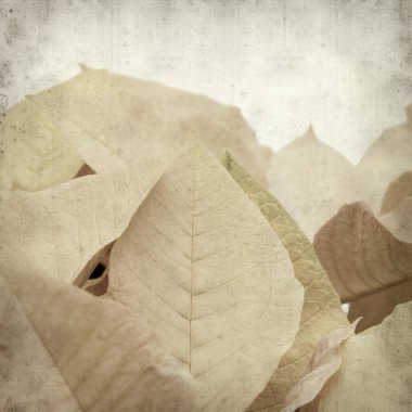 desenli eski kağıt arkaplan  