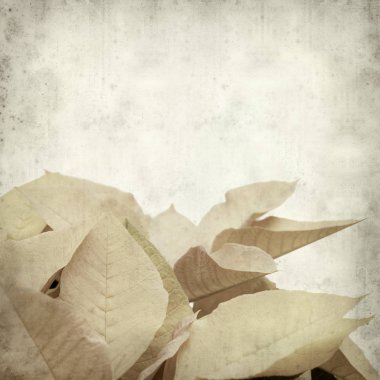 desenli eski kağıt arkaplan  