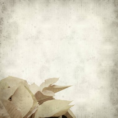 desenli eski kağıt arkaplan  