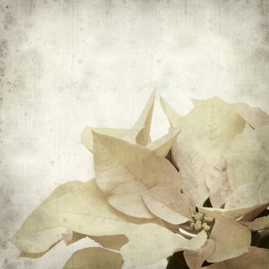 desenli eski kağıt arkaplan  