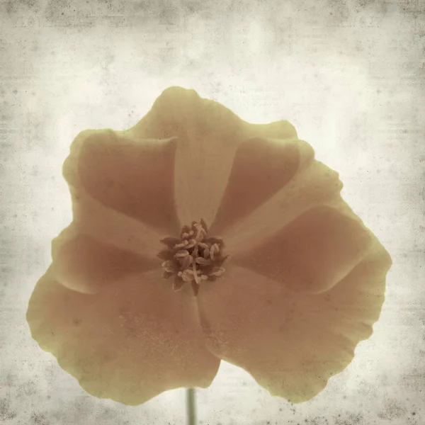 desenli eski kağıt arkaplan  