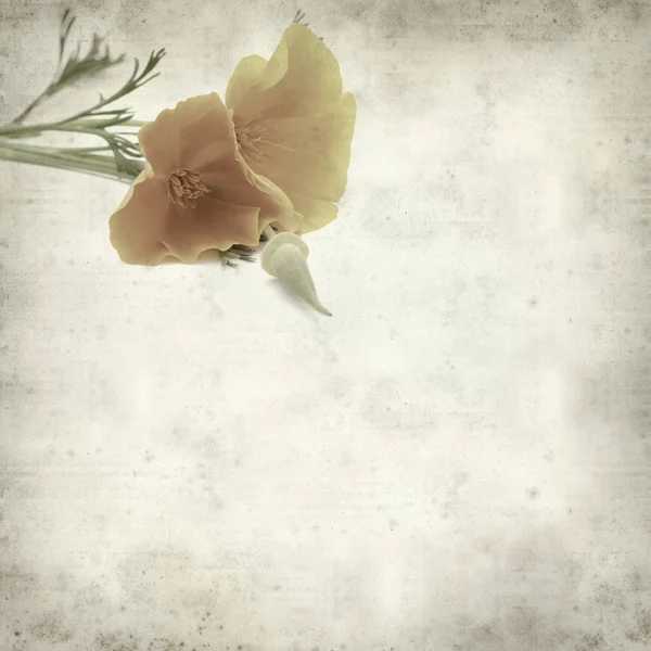 desenli eski kağıt arkaplan  