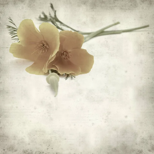 desenli eski kağıt arkaplan  