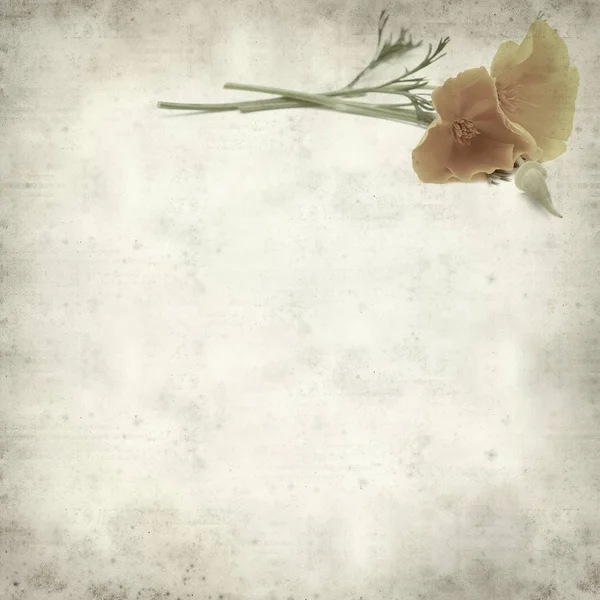 desenli eski kağıt arkaplan  