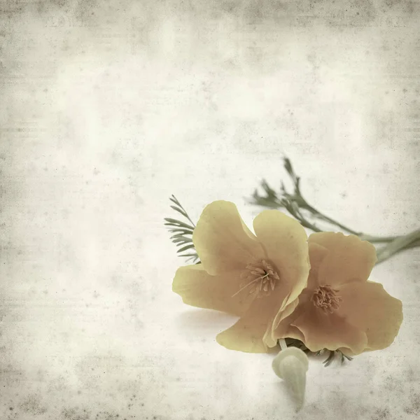 desenli eski kağıt arkaplan  