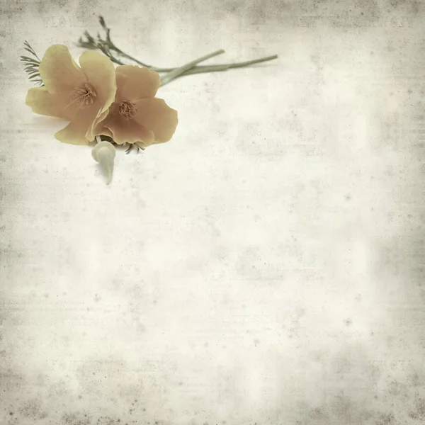 desenli eski kağıt arkaplan  