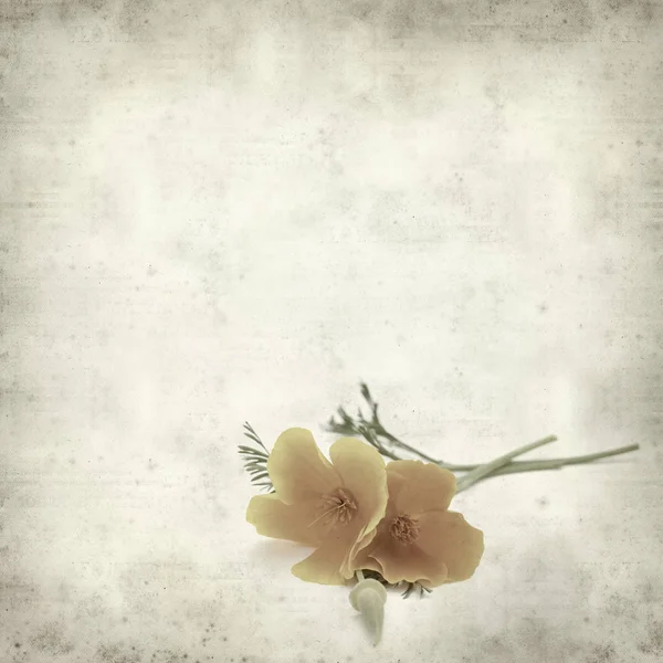 desenli eski kağıt arkaplan  