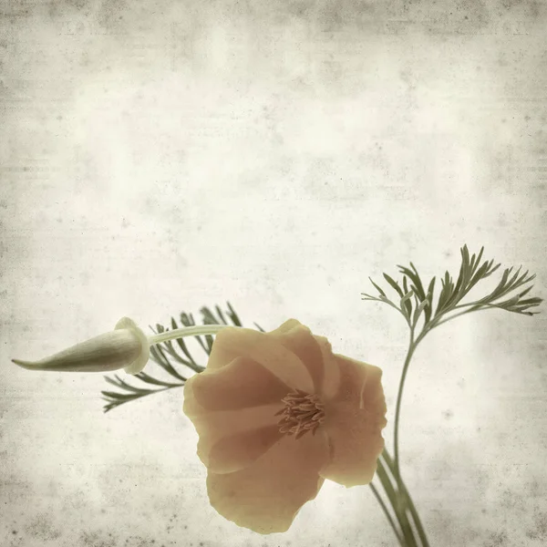 desenli eski kağıt arkaplan  