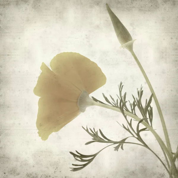 desenli eski kağıt arkaplan  