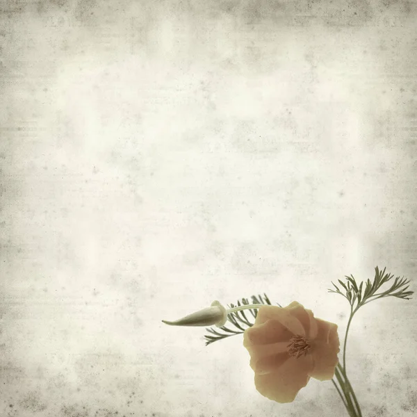 desenli eski kağıt arkaplan  